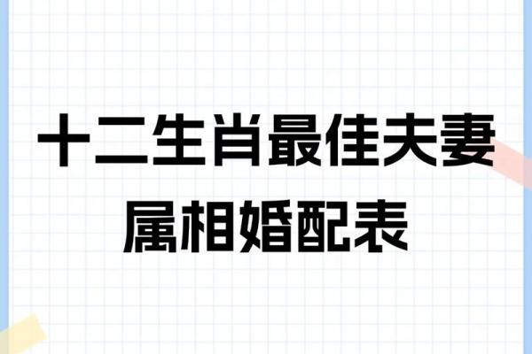 属相婚配十二生肖年龄表详解：如何根据生肖和年龄选择最佳伴侣？