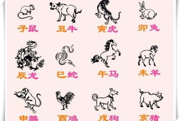 千方百计代表什么生肖