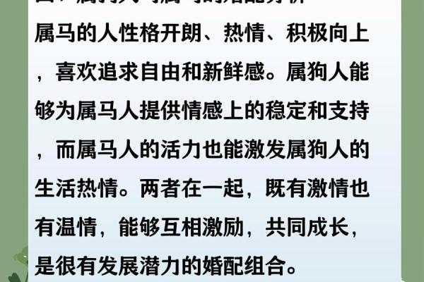 1994年出生的属狗人和什么生肖最配，婚姻能幸福长久吗