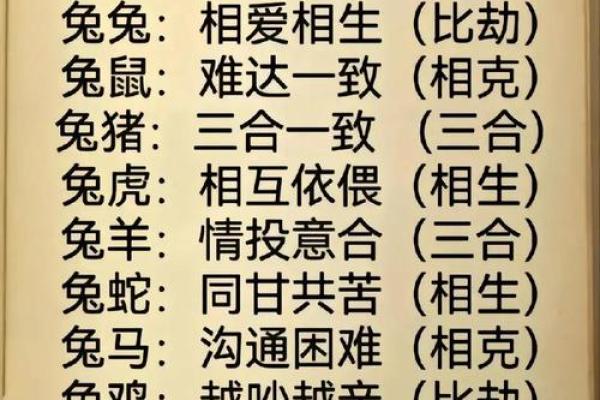 2004年属什么生肖五行属于什么命 2004年生的人五行属什么