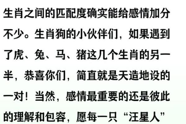 1970年属狗的人最佳婚配属相是哪些，性格合吗