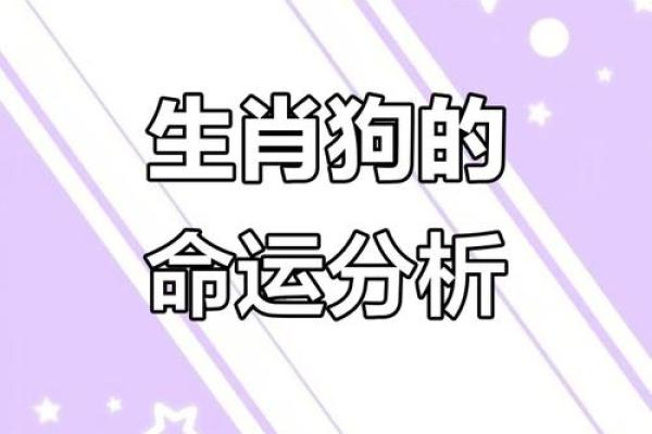 1970年属狗的人最佳婚配属相是哪些，性格合吗