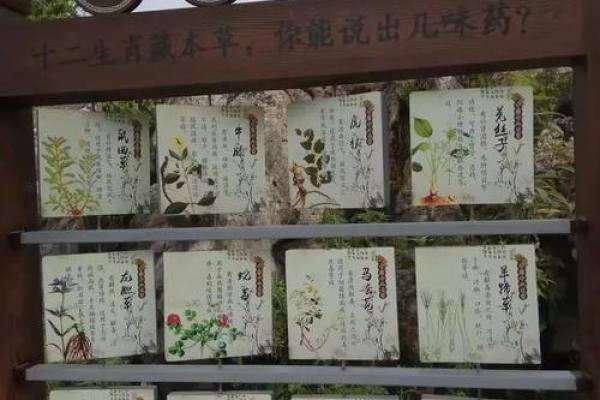 随意一瞥是什么生肖今天就带你整个明白