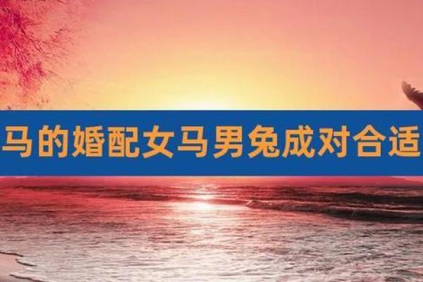 属马女和属兔男的合不合 属马女和属兔男的合不合财