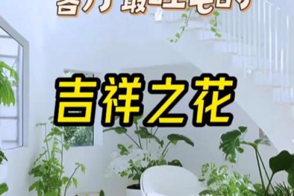 家里客厅放假花不吉利吗 家里客厅放假花好不好