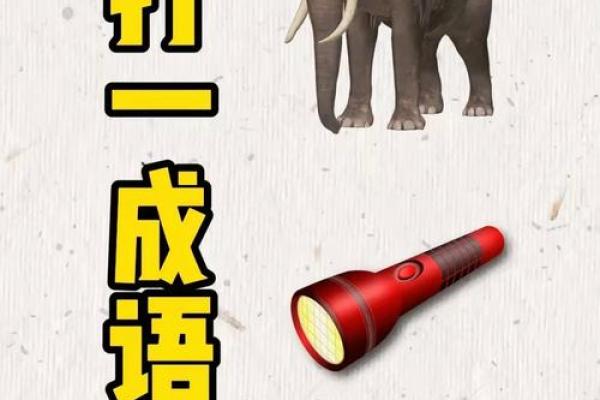 风华绝代打一生肖的谜底是什么？着个成语代表哪个生肖动物？