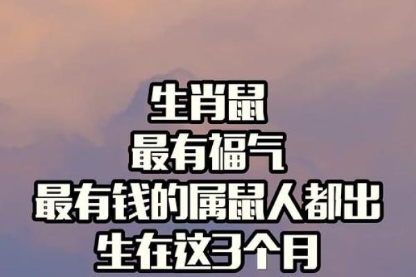 2008属鼠最忌几月出生 2008年属鼠的最忌讳哪个月出生