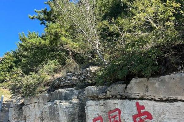 ‌隔三差五打一生肖 → 虎‌（虎啸山林，三震五岳）