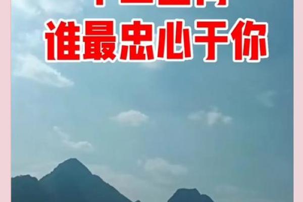 树大招风着个成语在十二生肖中具体指的是哪一个动物？