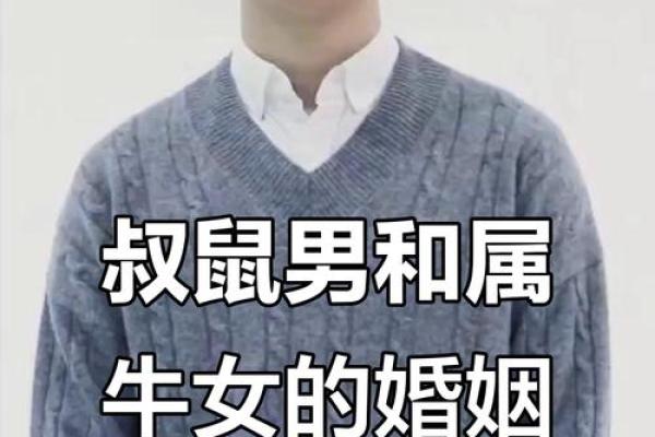 属鼠和属牛的合不合 属鼠和属牛的合不合婚配
