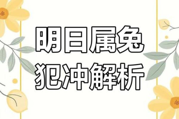 属兔犯冲的四个属相分析 兔最忌讳的三个属相