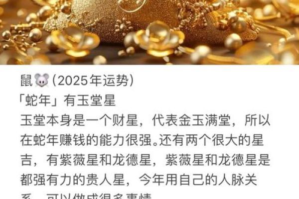 2024年属鼠人财运运势如何，正财和偏财哪个更旺？