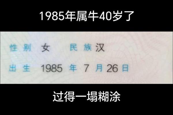 1985属牛一生三大劫难 1985年属牛人的三大劫