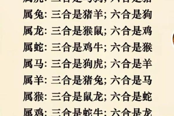 三五接五配一三是什么生肖 三五接五配一三打正确生肖