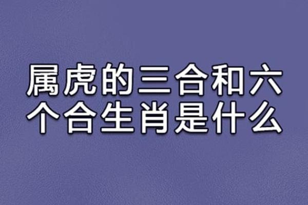 攀高枝儿是什么生肖