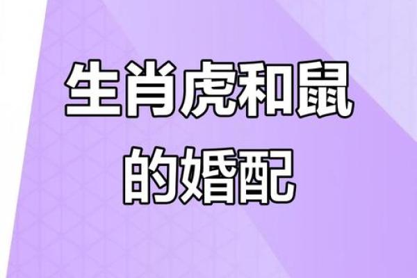 属虎人的婚姻与命运