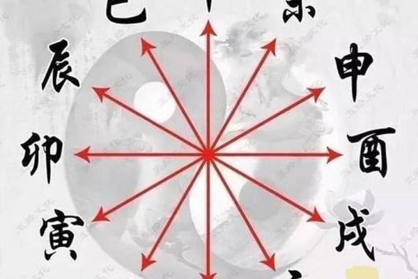 属马和属鼠的合不合财 属马和属鼠的合不合财,做生意怎么样