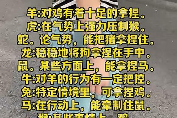 视而不见的生肖谜底揭晓，十二生肖中谁最擅长装糊涂