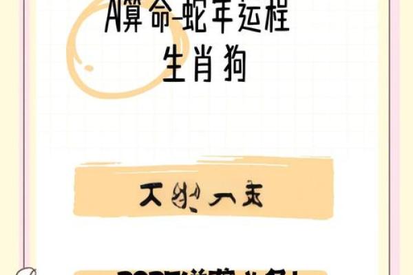 2025年属狗人穿什么颜色衣服能提升财运和事业运？