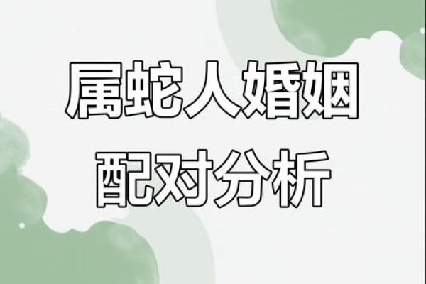 属蛇男婚配属相 属蛇男婚配属相宜忌