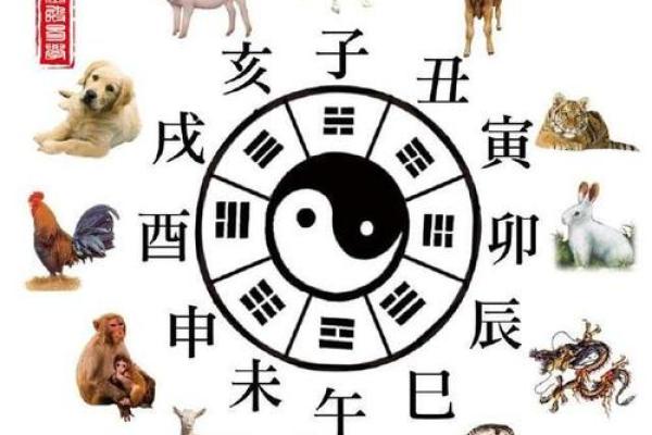 单刀直入打一生肖，请问具体是指十二生肖中的哪一个