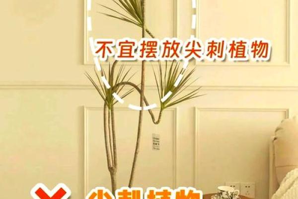家中放镜子有什么讲究 家中摆放镜子的五大禁忌
