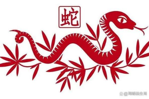 临阵磨枪所指的生肖是什么，它的具体象征意义和文化背景