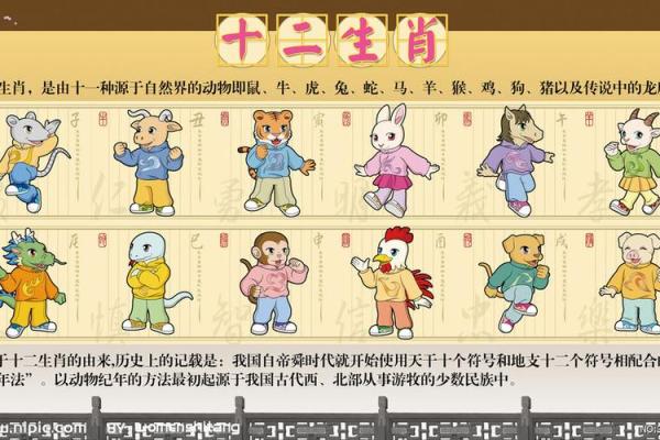 争先恐后的三大生肖 争先恐后的三大生肖是什么