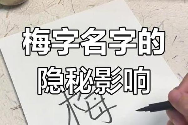 梅字为什么不吉利 梅字用于人名的意义
