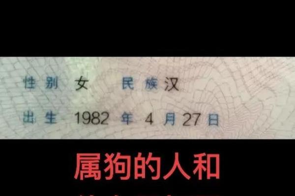 82年属狗女2025年婚姻运势如何,会离婚吗还是感情升温 82年属狗女2025年婚姻运势如何,会离婚吗还是感情升温