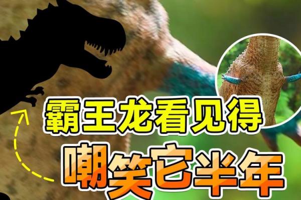 牛龙的属相合不合 牛龙的属相合不合婚姻