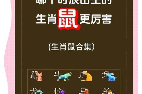 08年六月出生的今年几岁 2008年6月出生属什么生肖