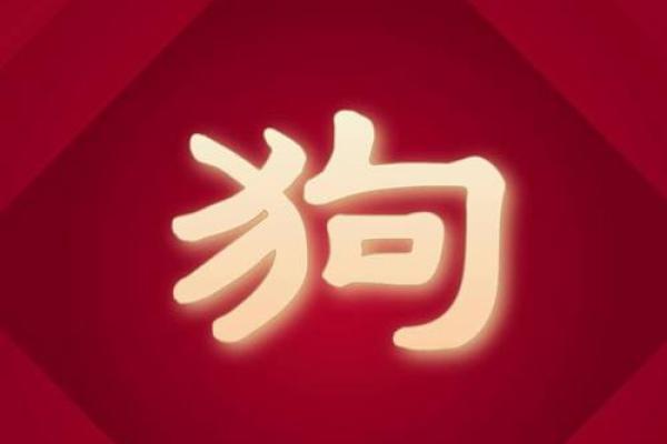 属狗人几月出生命运最好农历 属狗的人几月出生最好命运