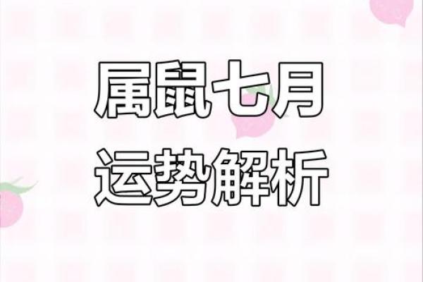 2025年属鼠的人财运会有明显好转吗具体表现