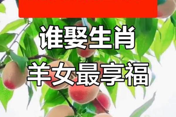 2003年属羊女最佳婚配属相 2003年女羊的最佳配偶