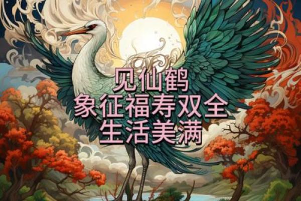 仙鹤最忌讳三种属相 仙鹤最忌讳三种属相