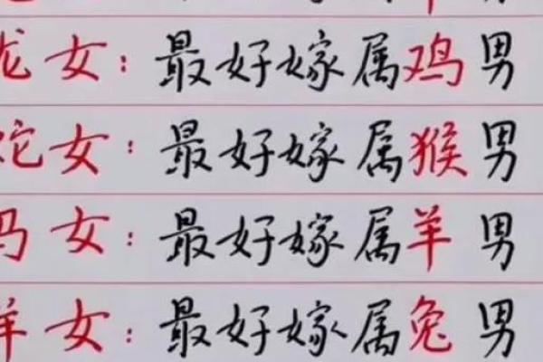 属鼠男和属龙女的婚配指数高吗，性格合不合得来？
