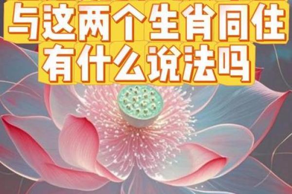 鸡男和鸡女的属相合不合 鸡男和鸡女的属相合不合财运