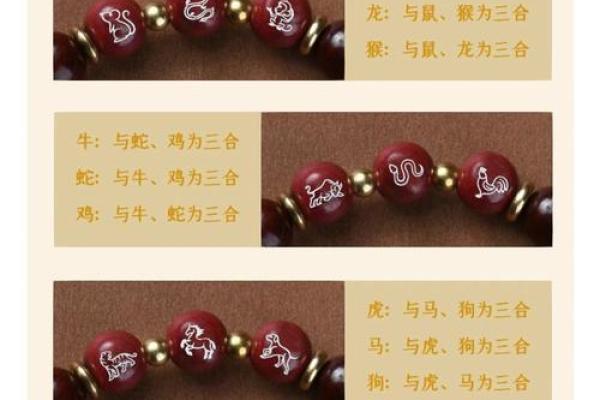 属鸡与属鼠的合不合 属鸡的与属鼠的合吗