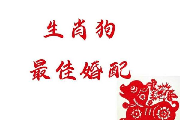 男鸡和女狗属相合不合 鸡男和猴女的属相合不合
