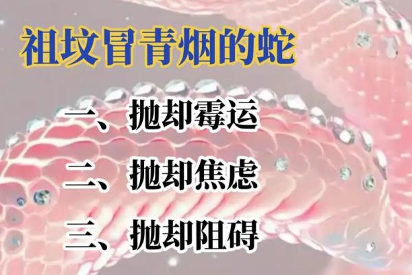 77年属蛇大忌颜色 77年属蛇大忌颜色有哪些 77年属蛇大忌颜色 77年属蛇大忌颜色有哪些