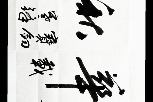 春华秋实打一最佳生肖(春华秋实打一最佳生肖动物)