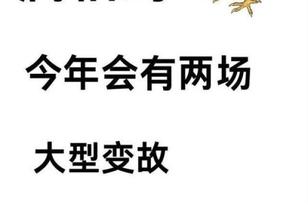 ‌短兵相接是什么生肖：‌ 鸡