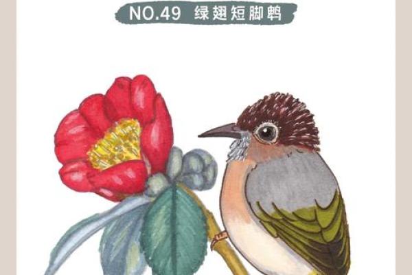 有翅难飞是指什么生肖(有翅难飞是指什么生肖反义词呢)