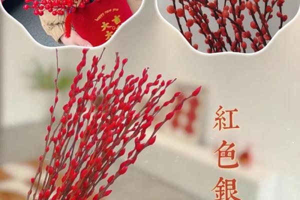 红色银柳最忌三种属相 红色银柳的寓意是什么