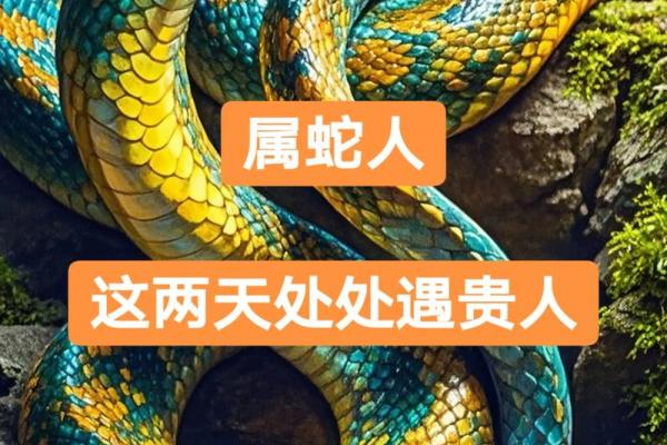 1965年属蛇几月出生好 1965年几月份的蛇命不好