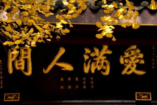 什么属相不能进寺庙 2021什么属相不能上坟