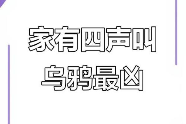 为什么乌鸦叫不吉利 为什么乌鸦叫声预测吉凶