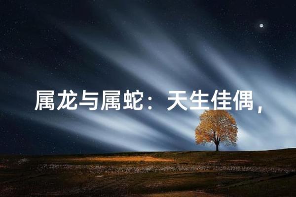 属龙和属蛇的婚配怎么样 属龙跟属蛇的婚姻配吗