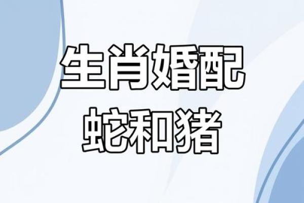 01年属蛇最佳婚配属相 2001年属蛇最佳婚配属相